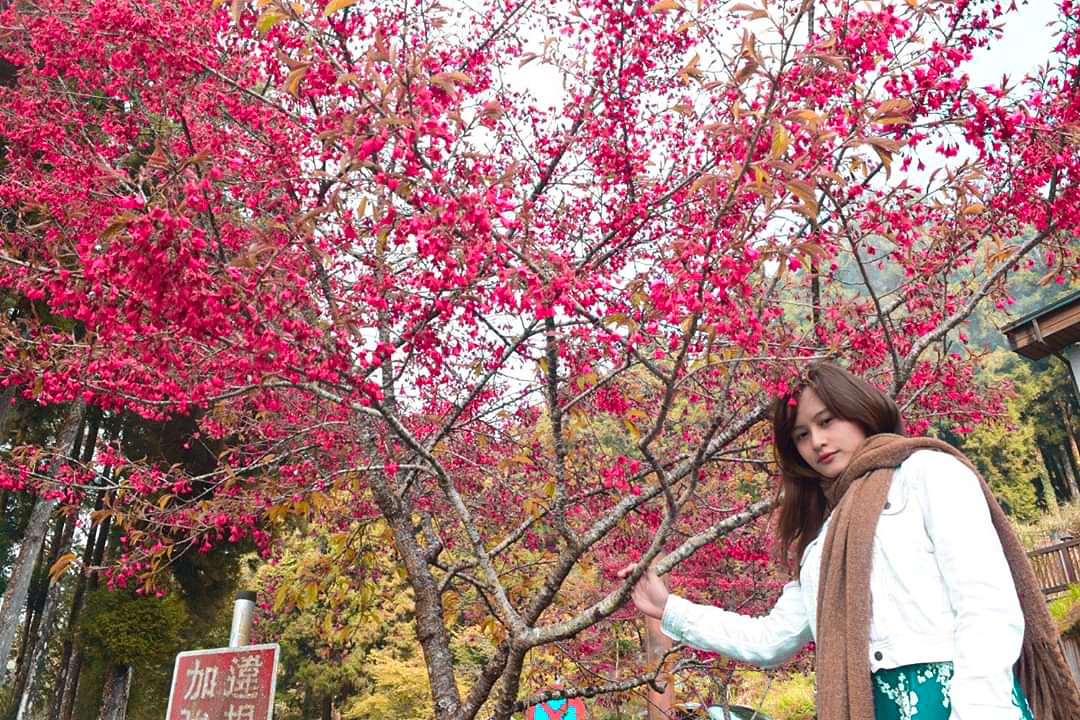 Taiwan